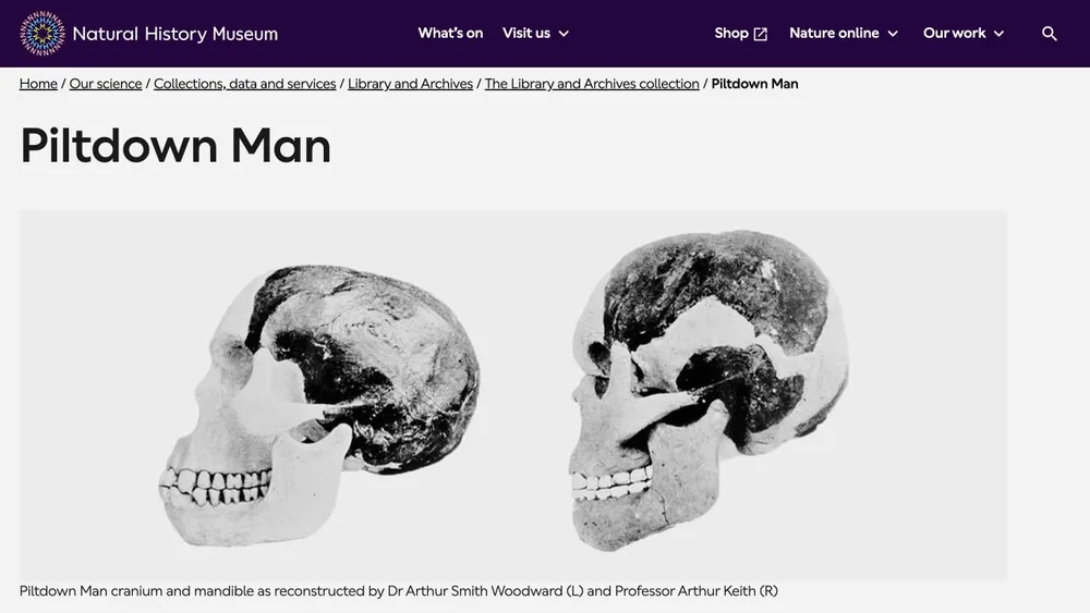 Piltdown Man | Natural History Museum